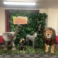 Jungle Wild One Theme Prop Hire