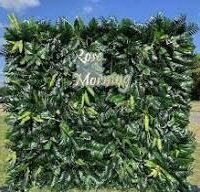 Jungle, Safari Backdrop Wall Hire