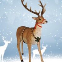 Reindeer Prop Hire