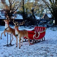 Santa's Sleigh & Reindeer Prop Hire