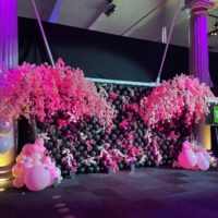 Pink Blossom Tree Canopy Hire