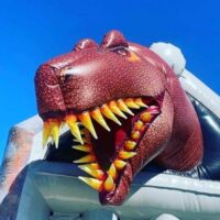 Themed Bouncy Castles & Soft Play