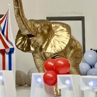 Gold Elephant Prop Hire