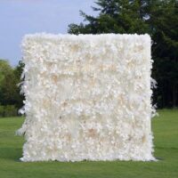 Grey Pampas Wall Hire