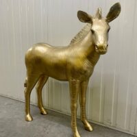 gold zebra prop hire