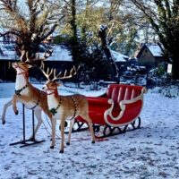Santa's Sleigh Hire