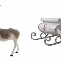 Santa's Sleigh & Reindeer