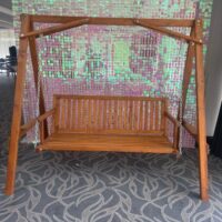Selfie Swing Hire