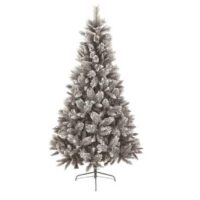 Christmas Tree Hire