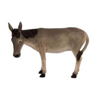 donkey