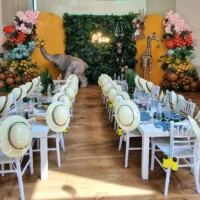 Children's Party Hire