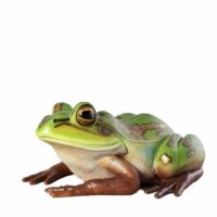 frog prop
