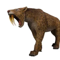 Saber-Toothed Cat