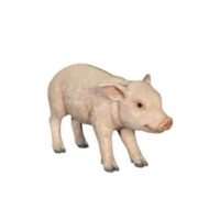 piglit