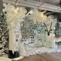 Winter Wonderland Backdrop Package