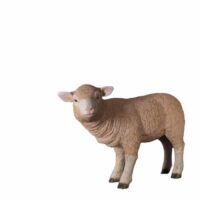 Texelaar Lamb Prop – Standing