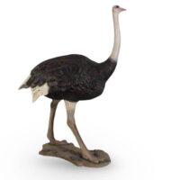 Ostrich Prop