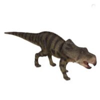Definitive Protoceratops Dinosaur