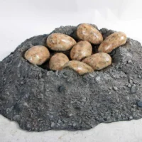 Nest with Dinosaur Eggs Prop