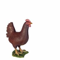 Chicken Prop – Brown