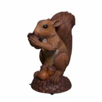 squirrel prop