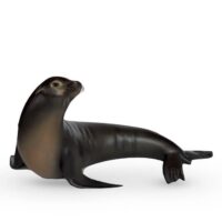 Sea Lion Prop