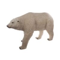 polar bear