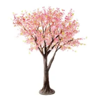 Cherry Blossom Tree Hire