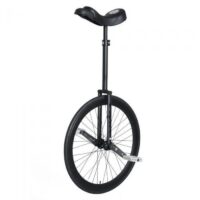 Unicycle