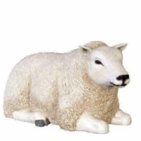 Texelaar Sheep Prop– Sitting