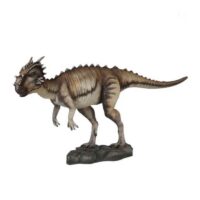 Dracorex Prop 10ft