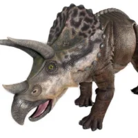 Giant Triceratops Prop 1.2m