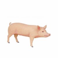 pink pig prop