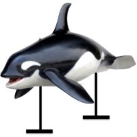 Orca Whale Prop