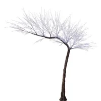 Large Snow Branched Tree