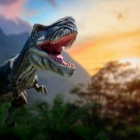 Dinosaur Theme