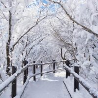 Winter Wonderland Theme Props