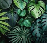 Trees and Foliage