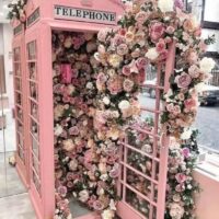 Pink Phone Box