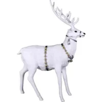 White Reindeer