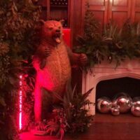 Grizzly Bear Prop Hire