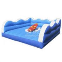 Inflatable Snowboard Simulator Hire