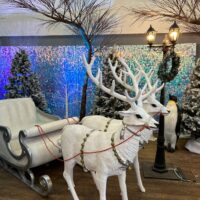 White Santa Sleigh Package – A Winter Wonderland Centrepiece