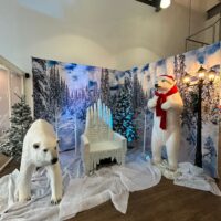 Winter Wonderland Package – Create a Magical Frozen Scene