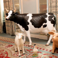 Life-Size Cow Prop