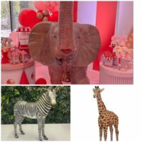 Prop Hire Package: Safari Grandeur