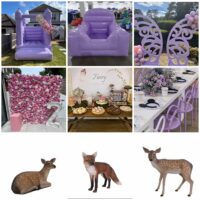 Fairy Tale Party Package
