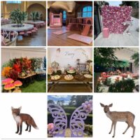 Fairy Tale Deluxe Party Package