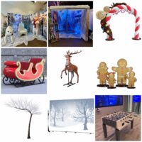 Platinum Winter Wonderland Package