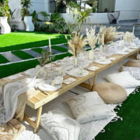 Pillows assorted styles for picnic